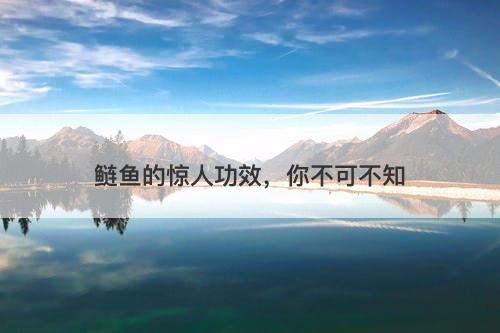 鲢鱼的惊人功效，你不可不知