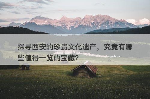 探寻西安的珍贵文化遗产，究竟有哪些值得一览的宝藏？