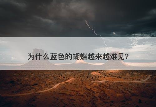 为什么蓝色的蝴蝶越来越难见？