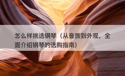 怎么样挑选钢琴（从音质到外观，全面介绍钢琴的选购指南）