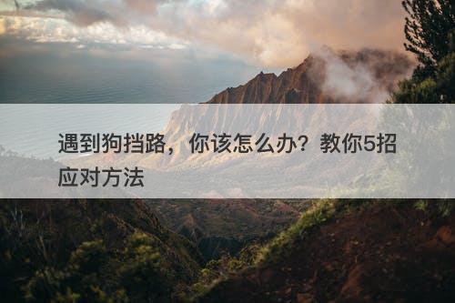 遇到狗挡路，你该怎么办？教你5招应对方法