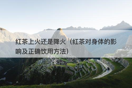 红茶上火还是降火（红茶对身体的影响及正确饮用方法）