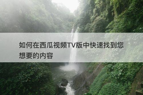 如何在西瓜视频TV版中快速找到您想要的内容