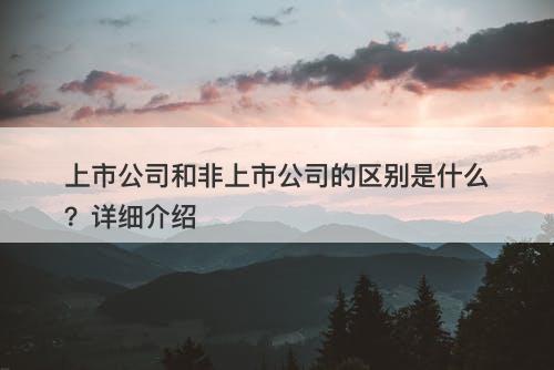 上市公司和非上市公司的区别是什么？详细介绍