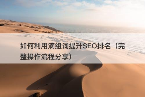 如何利用滴组词提升SEO排名（完整操作流程分享）