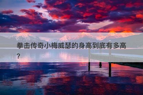 拳击传奇小梅威瑟的身高到底有多高？
