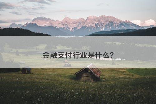 金融支付行业是什么？