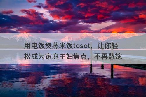 用电饭煲蒸米饭tosot，让你轻松成为家庭主妇焦点，不再愁嫁
