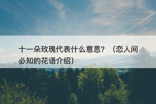 十一朵玫瑰代表什么意思？（恋人间必知的花语介绍）