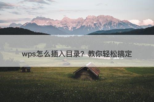 wps怎么插入目录？教你轻松搞定