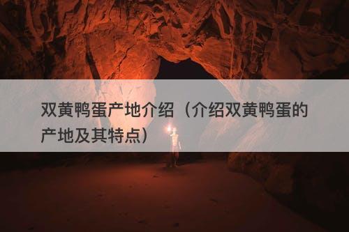 双黄鸭蛋产地介绍（介绍双黄鸭蛋的产地及其特点）