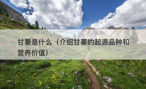 甘薯是什么（介绍甘薯的起源品种和营养价值）