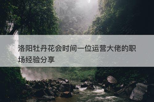 洛阳牡丹花会时间一位运营大佬的职场经验分享