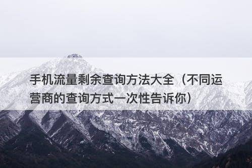 手机流量剩余查询方法大全（不同运营商的查询方式一次性告诉你）