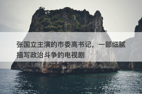 张国立主演的市委高书记，一部细腻描写政治斗争的电视剧