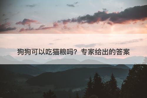 狗狗可以吃猫粮吗？专家给出的答案