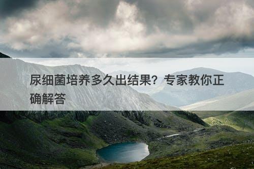 尿细菌培养多久出结果？专家教你正确解答