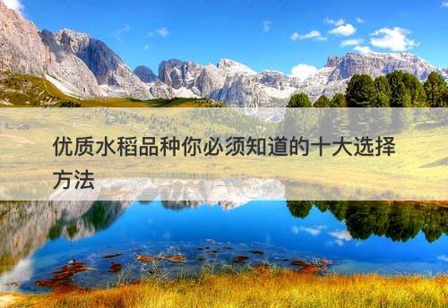 优质水稻品种你必须知道的十大选择方法