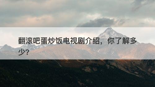 翻滚吧蛋炒饭电视剧介绍，你了解多少？