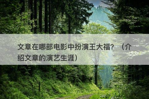 文章在哪部电影中扮演王大福？（介绍文章的演艺生涯）