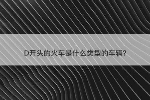 D开头的火车是什么类型的车辆？