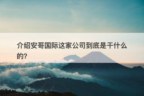 介绍安哥国际这家公司到底是干什么的？