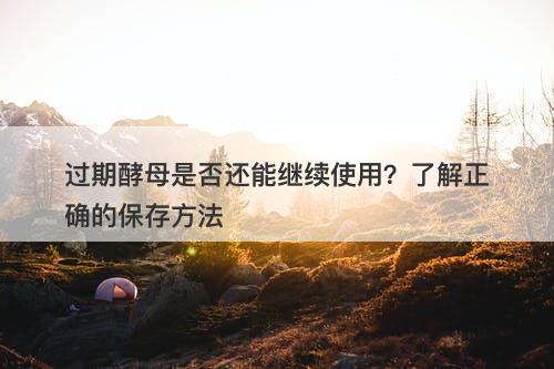 过期酵母是否还能继续使用？了解正确的保存方法