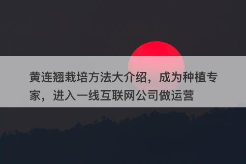 黄连翘栽培方法大介绍，成为种植专家，进入一线互联网公司做运营