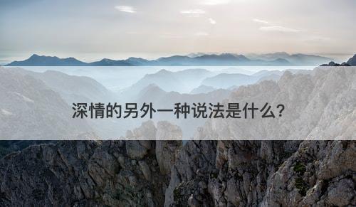 深情的另外一种说法是什么？