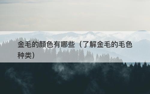 金毛的颜色有哪些（了解金毛的毛色种类）