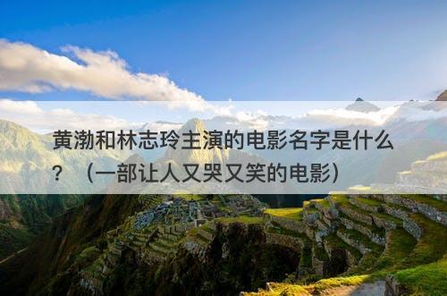 黄渤和林志玲主演的电影名字是什么？（一部让人又哭又笑的电影）
