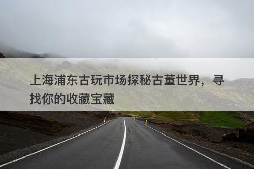 上海浦东古玩市场探秘古董世界，寻找你的收藏宝藏
