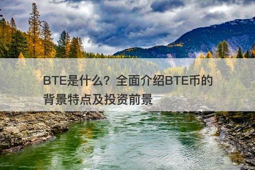 BTE是什么？全面介绍BTE币的背景特点及投资前景