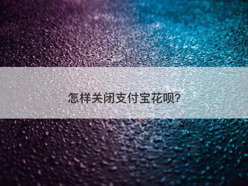 怎样关闭支付宝花呗？