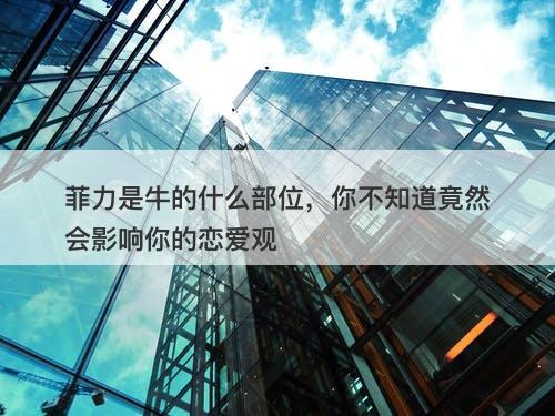 菲力是牛的什么部位，你不知道竟然会影响你的恋爱观