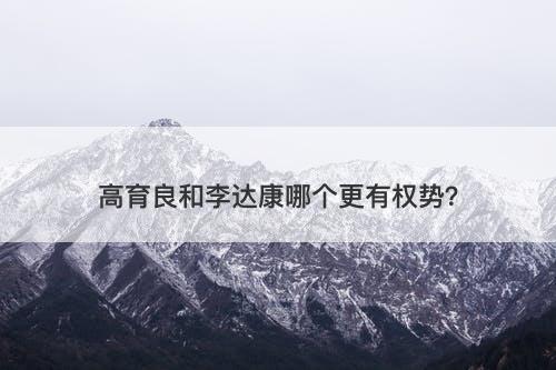 高育良和李达康哪个更有权势？