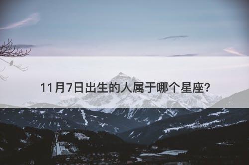 11月7日出生的人属于哪个星座？