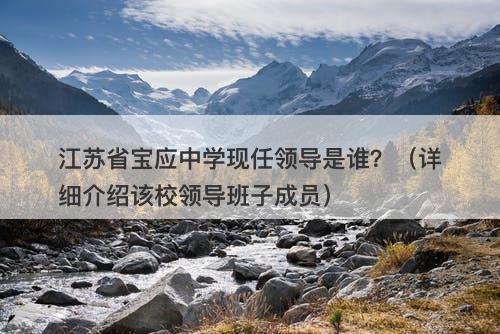 江苏省宝应中学现任领导是谁？（详细介绍该校领导班子成员）