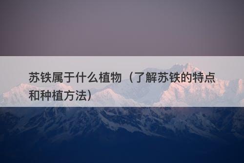 苏铁属于什么植物（了解苏铁的特点和种植方法）
