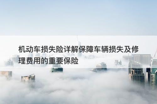 机动车损失险详解保障车辆损失及修理费用的重要保险