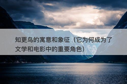 知更鸟的寓意和象征（它为何成为了文学和电影中的重要角色）