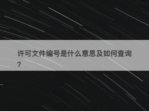 许可文件编号是什么意思及如何查询？