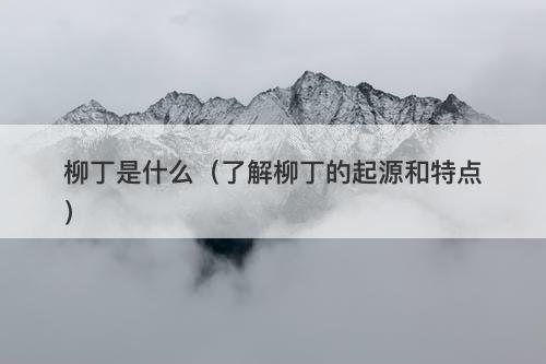 柳丁是什么（了解柳丁的起源和特点）
