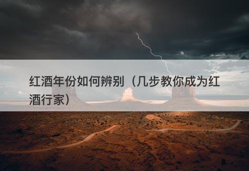 红酒年份如何辨别（几步教你成为红酒行家）