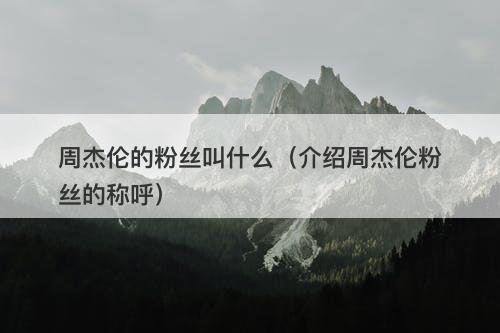 周杰伦的粉丝叫什么（介绍周杰伦粉丝的称呼）