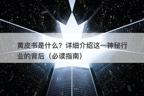 黄皮书是什么？详细介绍这一神秘行业的背后（必读指南）