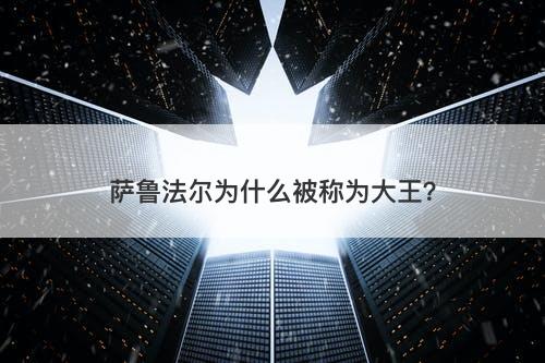萨鲁法尔为什么被称为大王？