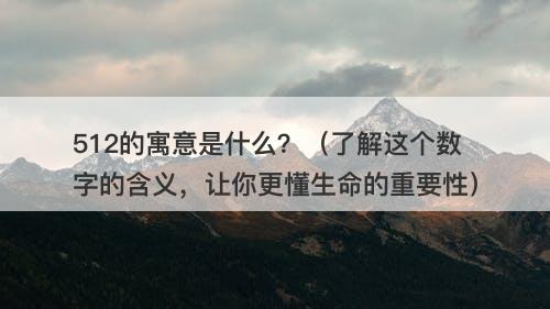 512的寓意是什么？（了解这个数字的含义，让你更懂生命的重要性）