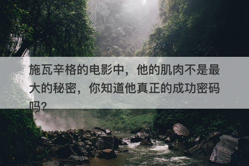 施瓦辛格的电影中，他的肌肉不是最大的秘密，你知道他真正的成功密码吗？