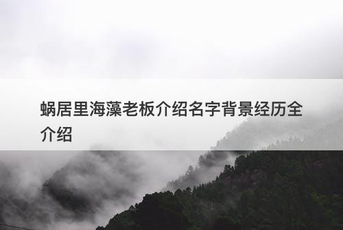 蜗居里海藻老板介绍名字背景经历全介绍